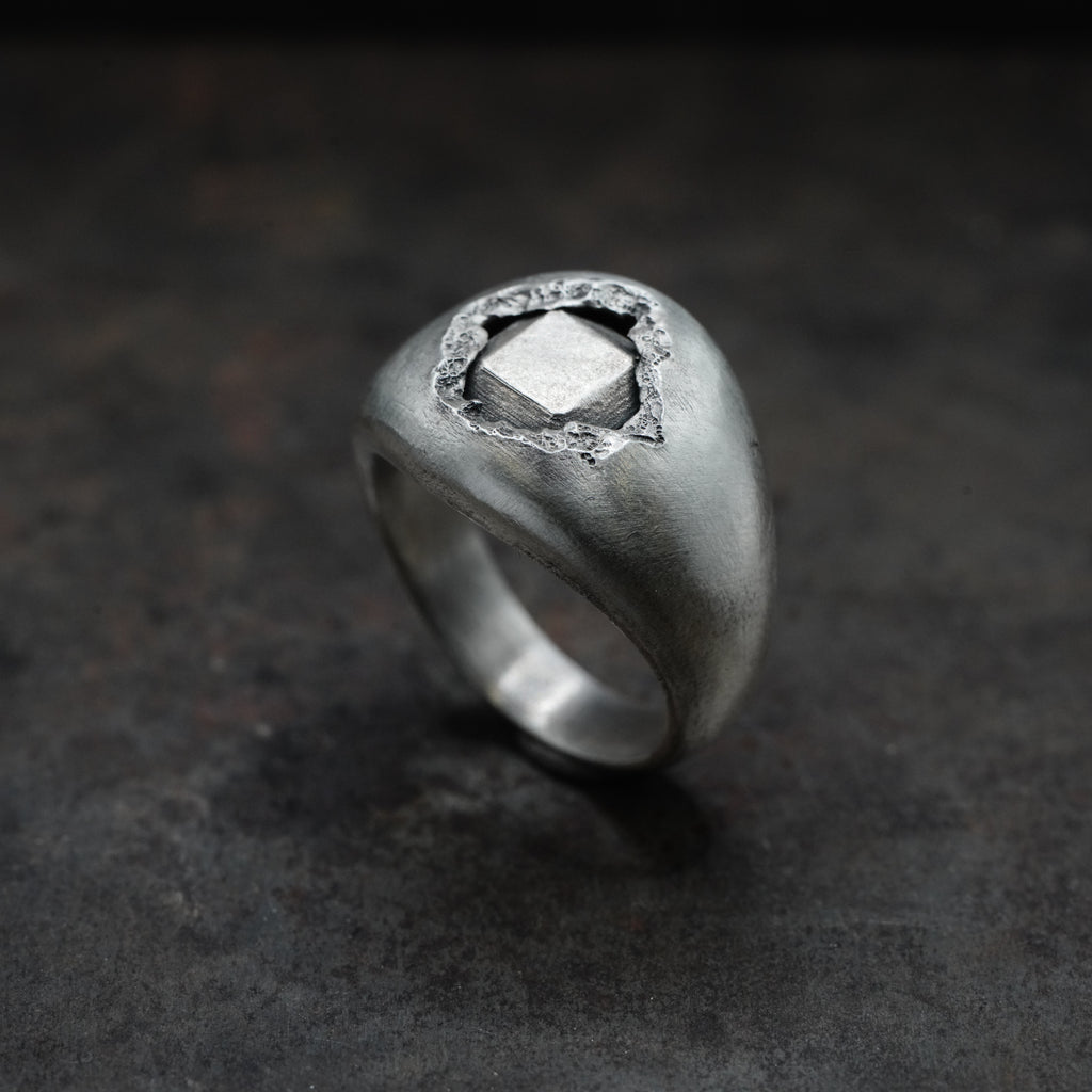 Reborn - [Asscher, SV, Ring]