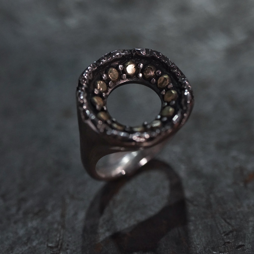 Reborn - [Circle, BR BS, Ring]