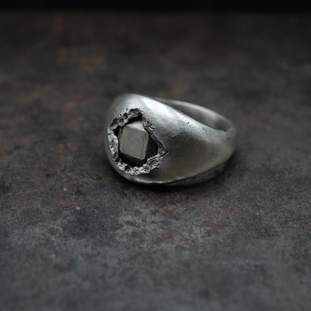 Reborn - [Asscher, SV, Ring]
