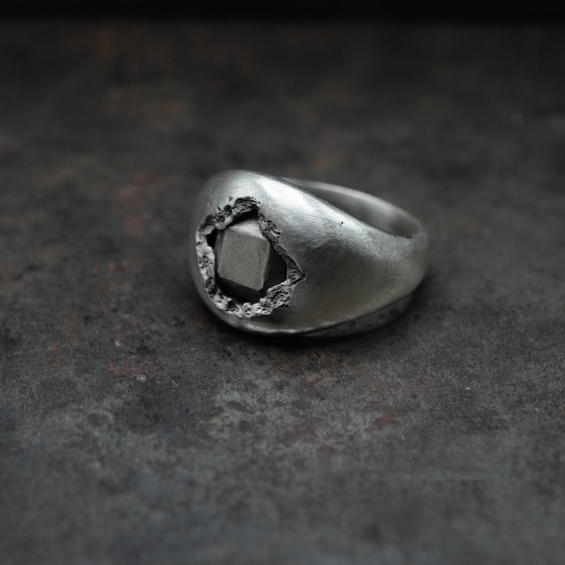 Reborn - [Asscher, SV, Ring]