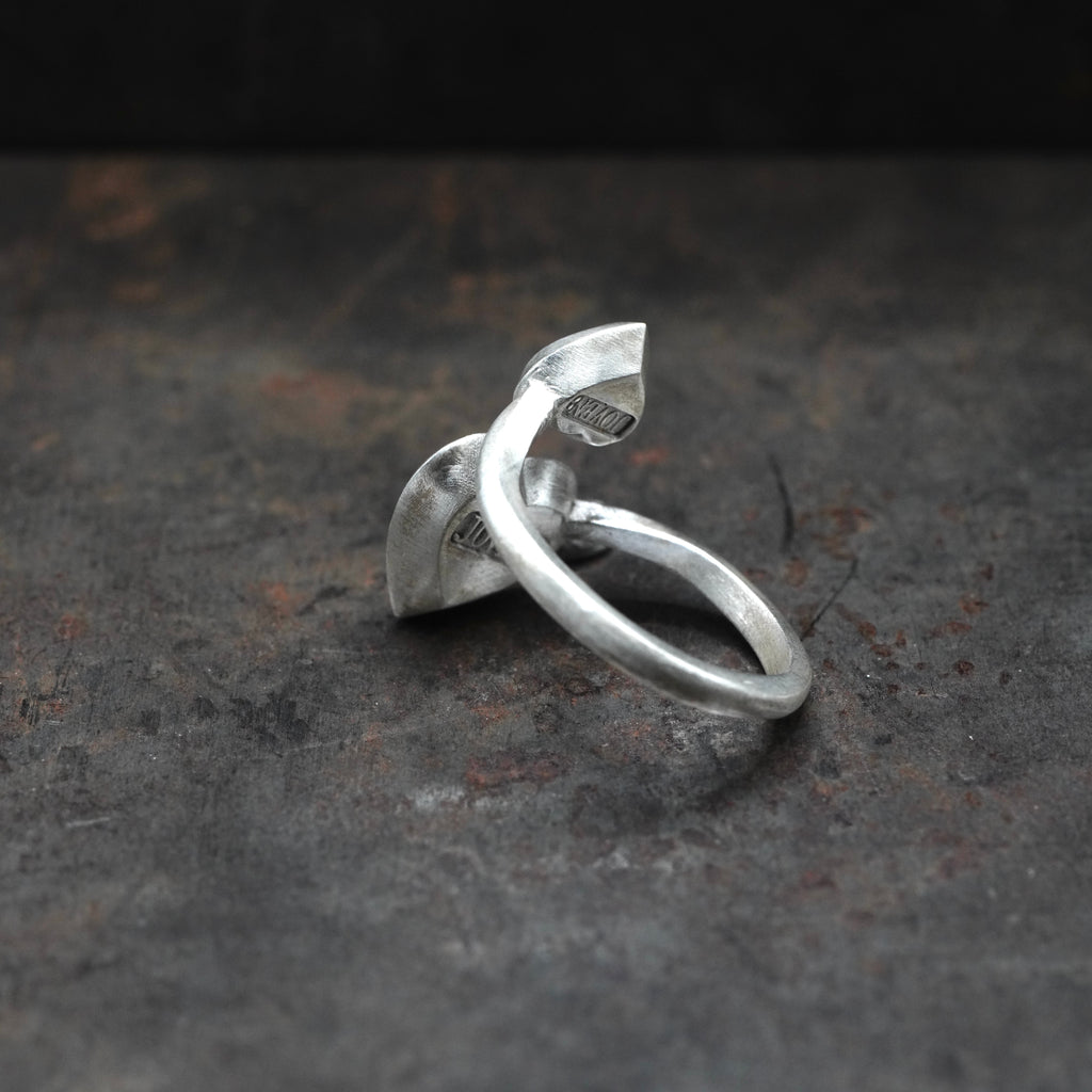 2in1 - [BZHeart, SVBS , Ring]