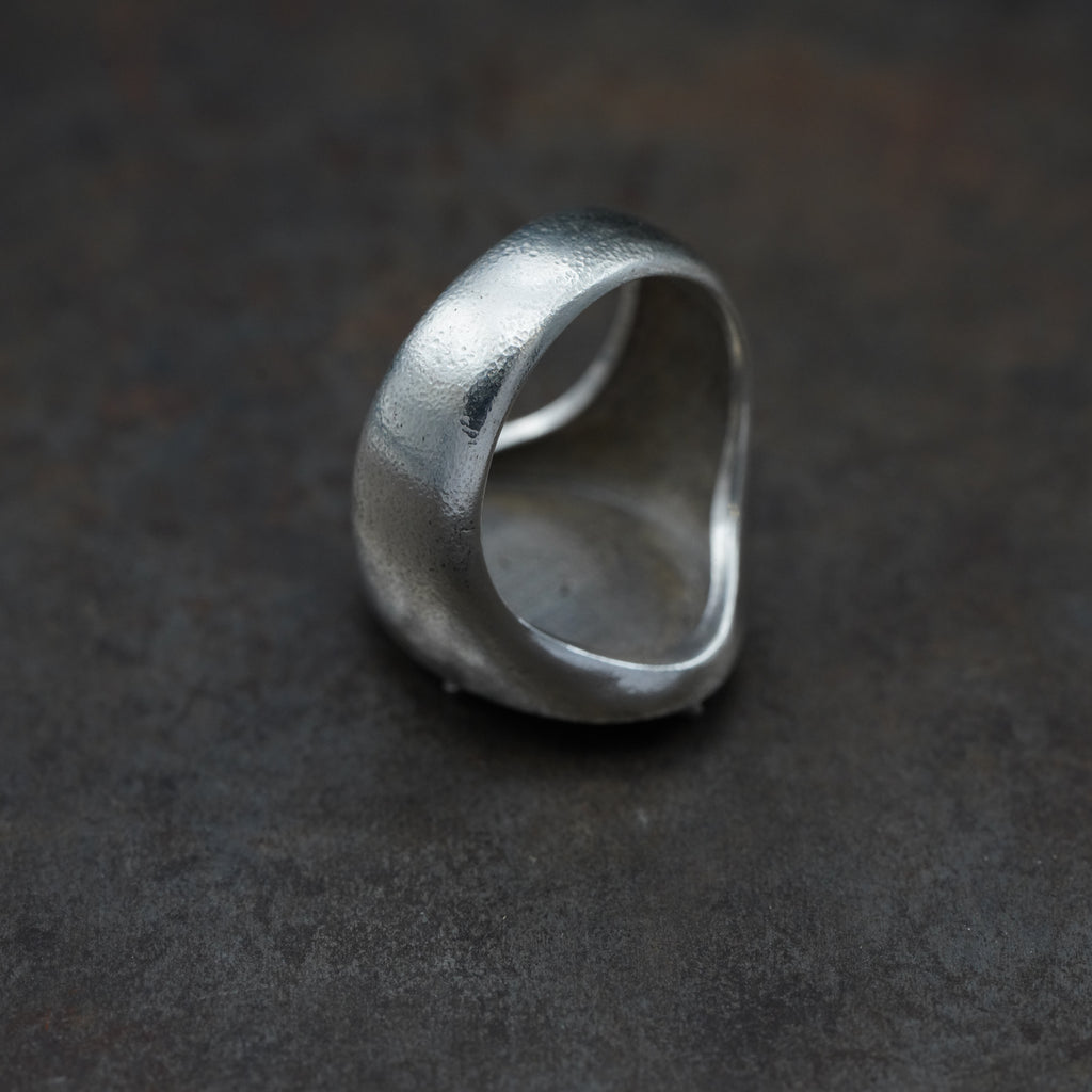 「章」- ring 1 word