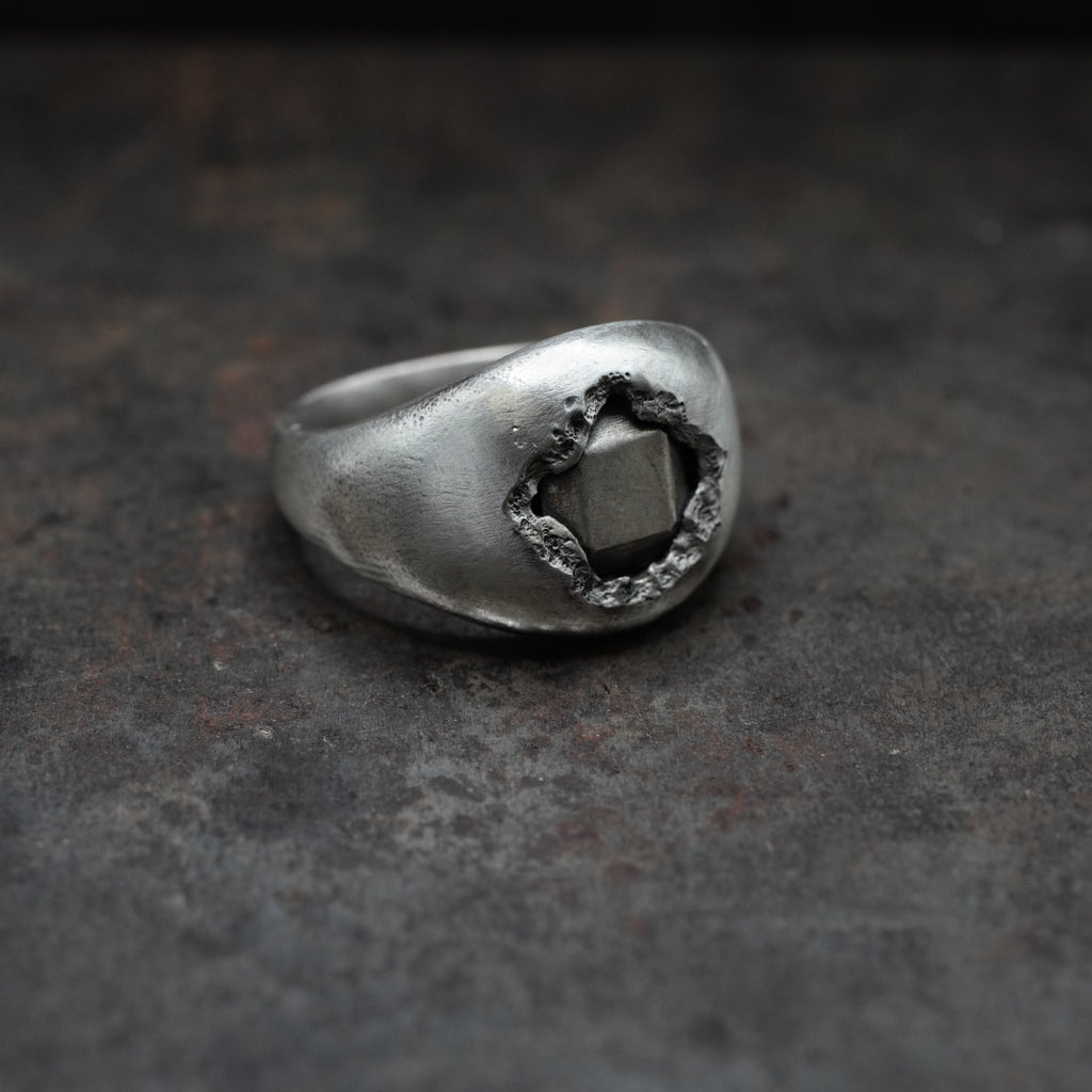 Reborn - [Asscher, SV, Ring]