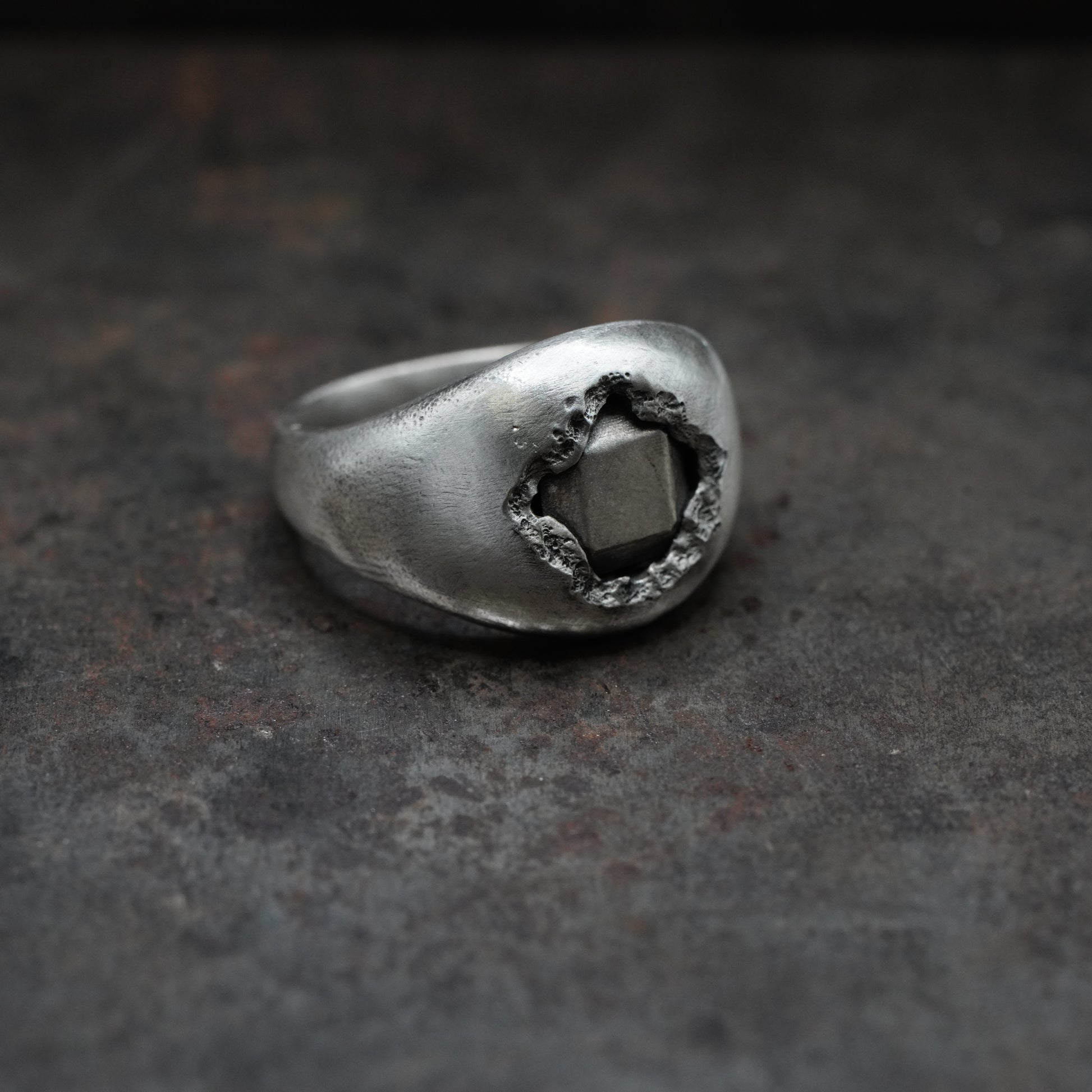 Reborn - [Asscher, SV, Ring]