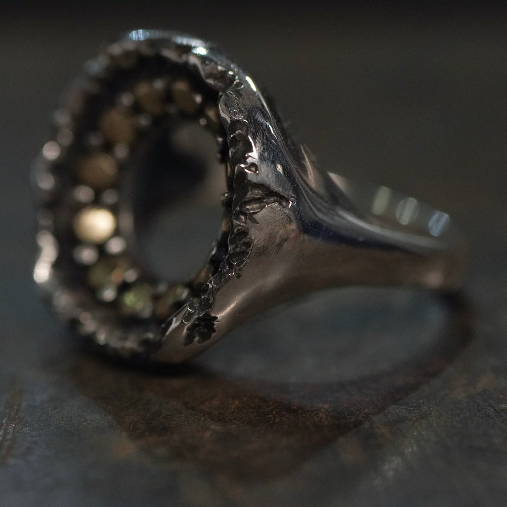 Reborn - [Circle, BR BS, Ring]