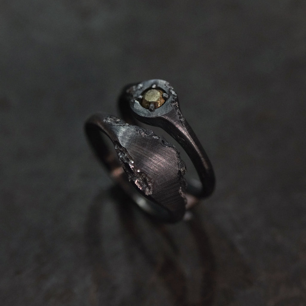 Reborn - [2in1,BR BS, Ring]