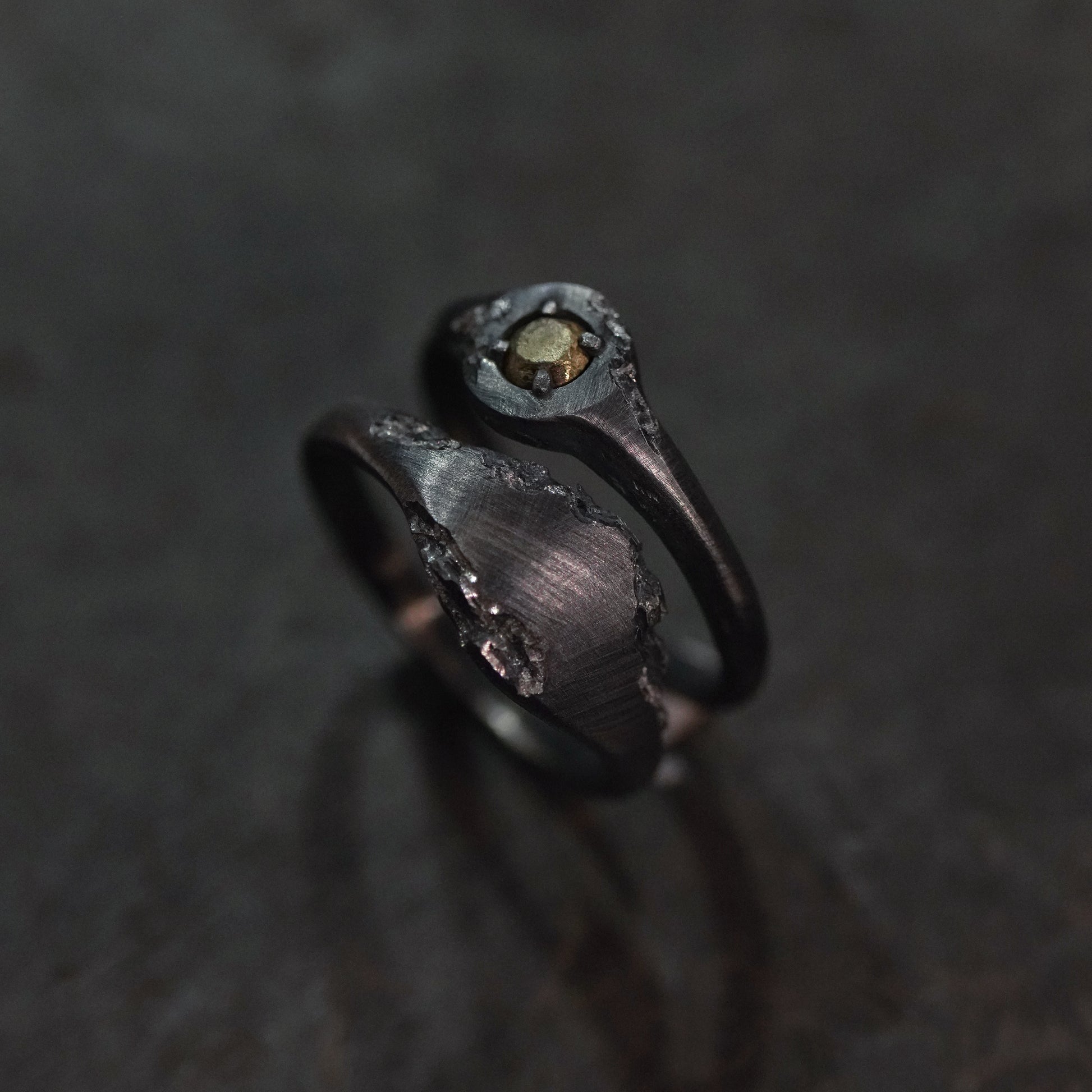 Reborn - [2in1,BR BS, Ring]