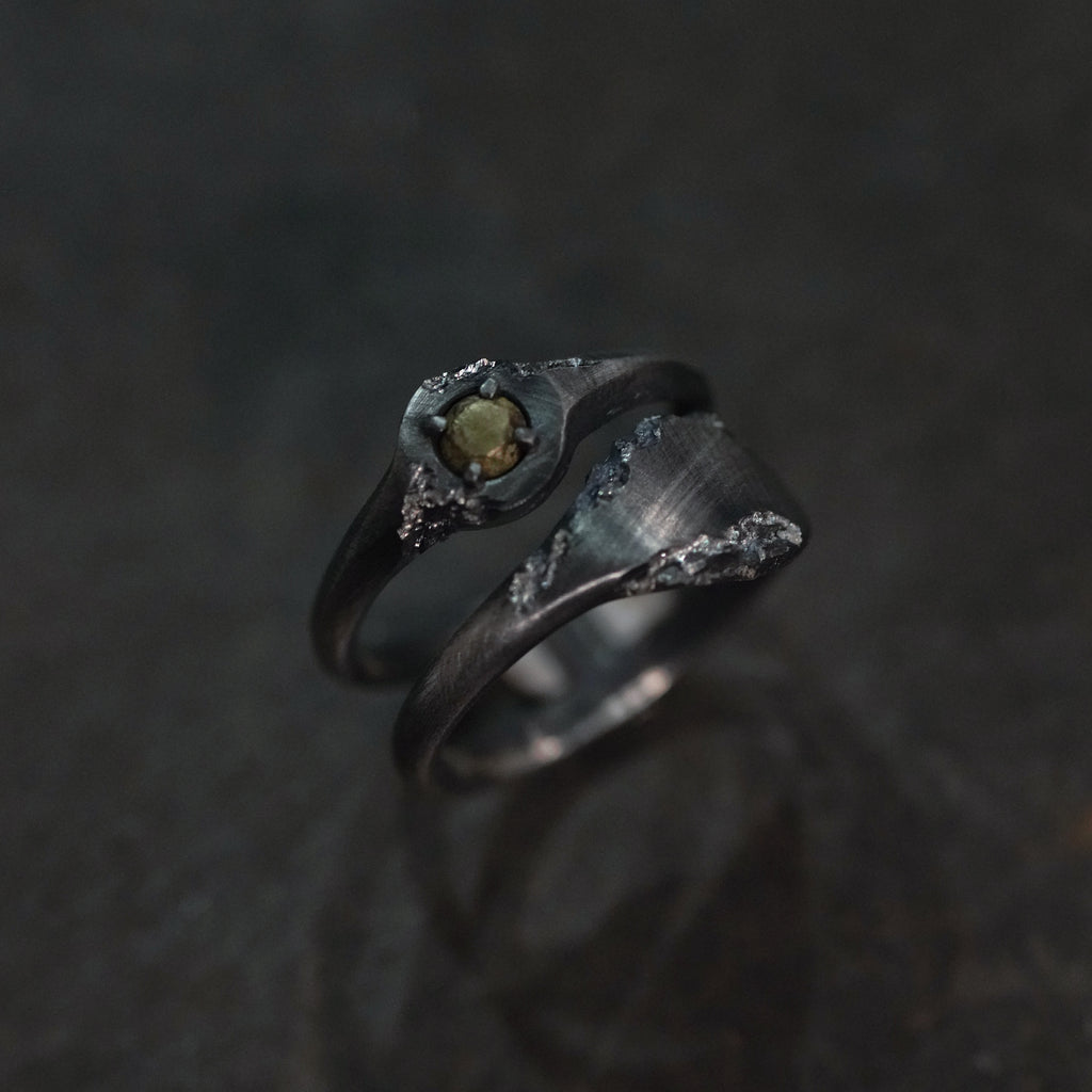 Reborn - [2in1,BR BS, Ring]