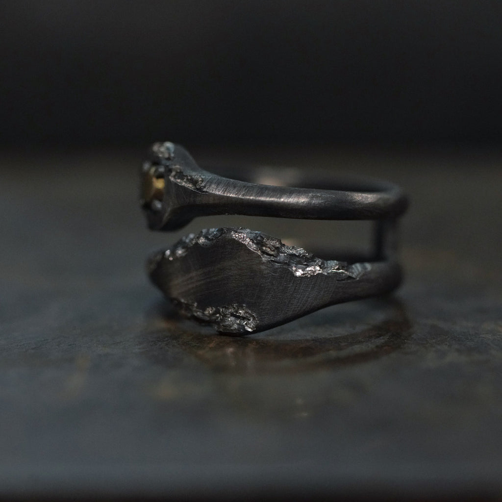 Reborn - [2in1,BR BS, Ring]