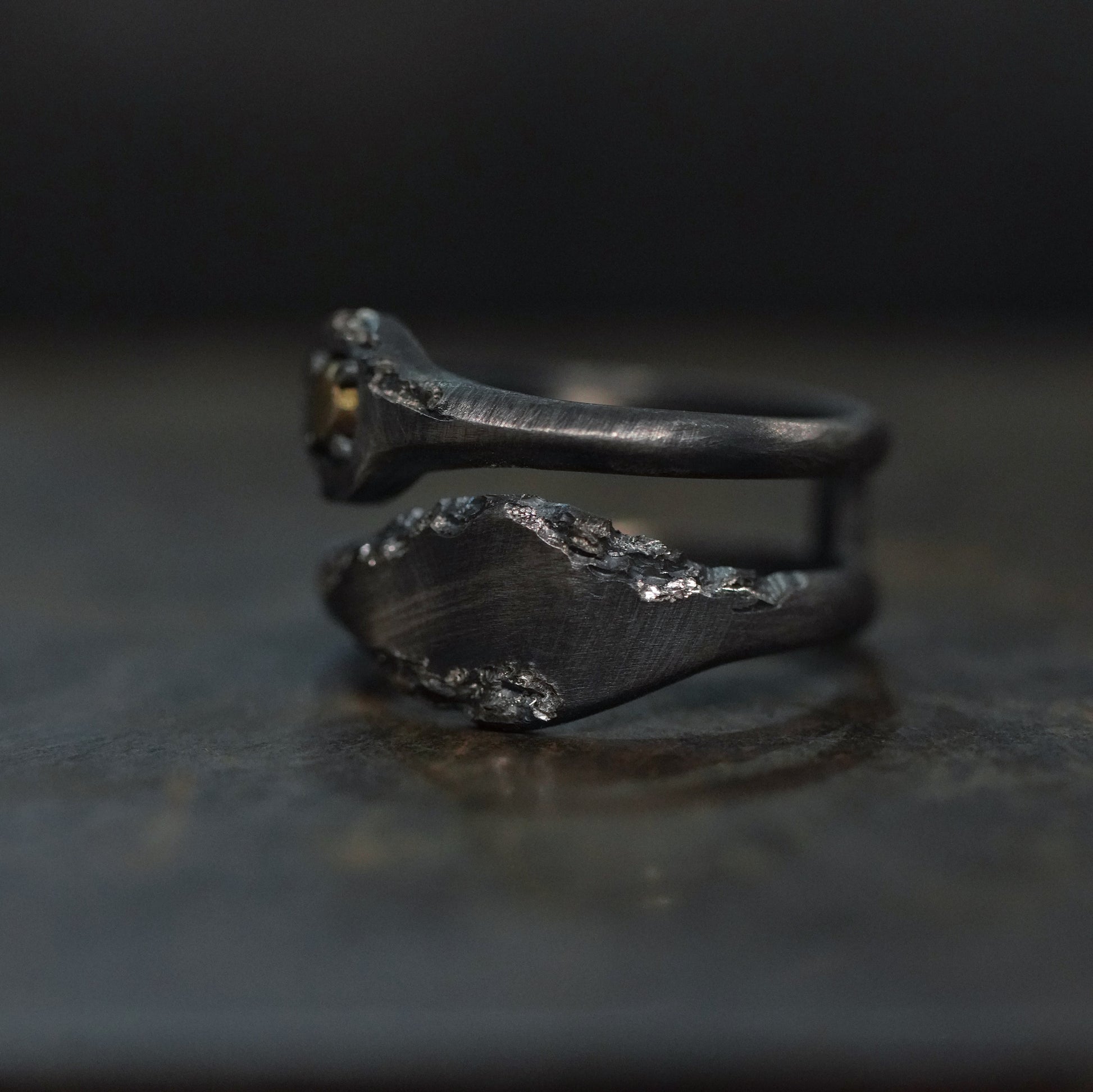 Reborn - [2in1,BR BS, Ring]